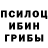 Псилоцибиновые грибы GOLDEN TEACHER nikolyaize