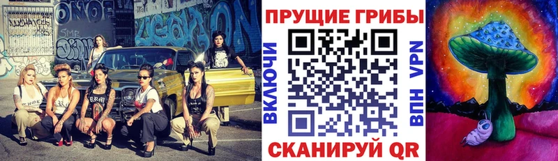 Псилоцибиновые грибы Cubensis  hydra сайт  Фролово 